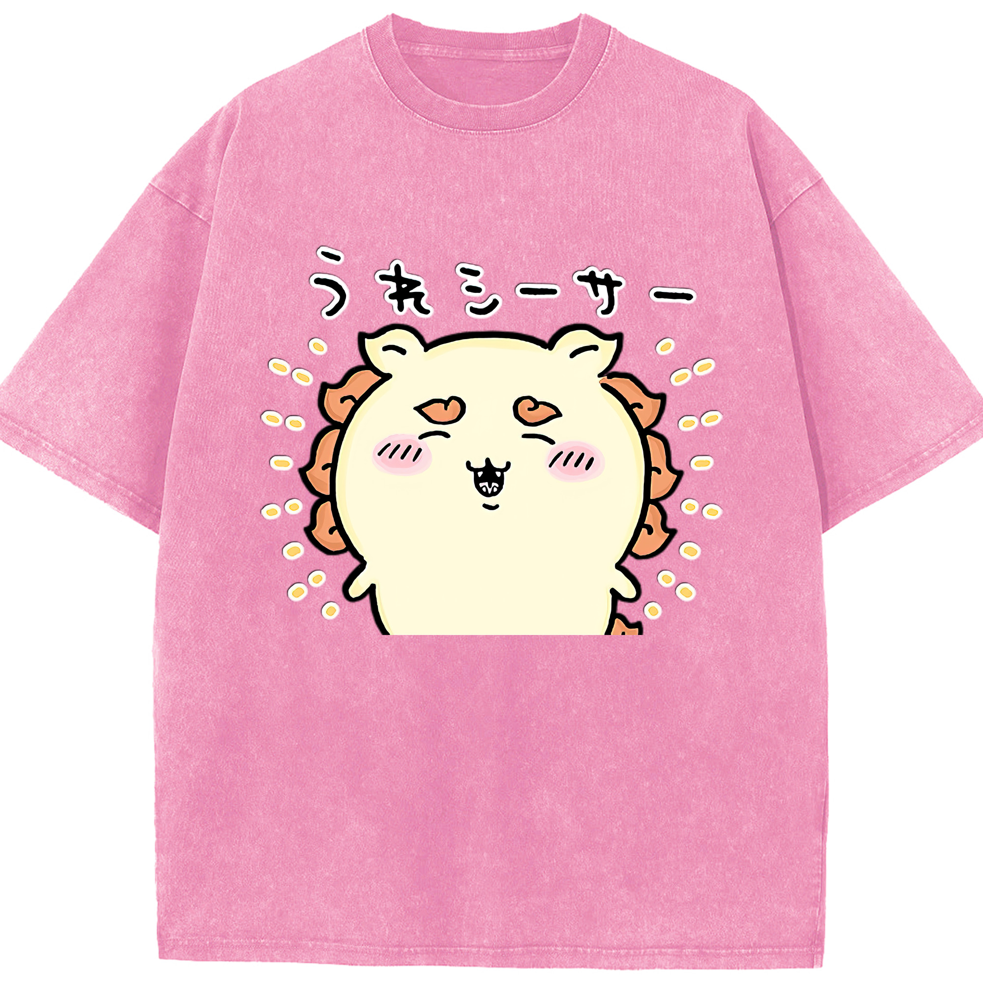 （画像用） ちいかわ シーサー Chii-kawa Shisa 綿100% ヴィンテージ風 半袖Tシャツ（フロントプリント）